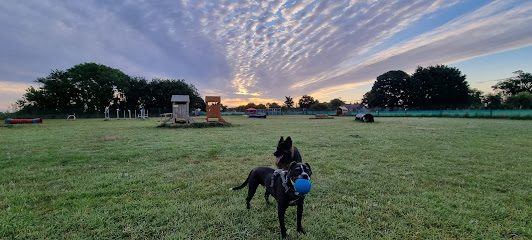 Burt's Haven - Freedom Field Wrangle — secure dog field in Boston