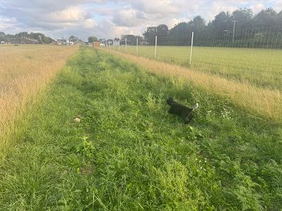 Greenhalgh Canine Club — secure dog field in Preston
