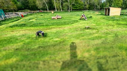 Petersfield Dog Park — secure dog field in Petersfield