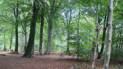 Woofing Woods — secure dog field in Leeds
