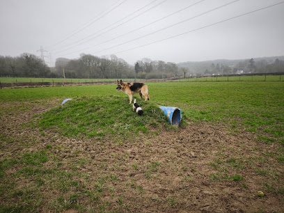 Laddies field — secure dog field in Battle