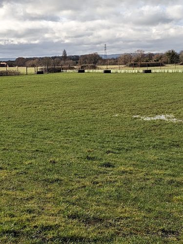 Severn Farm Secure Dog Field — secure dog field in Gloucester
