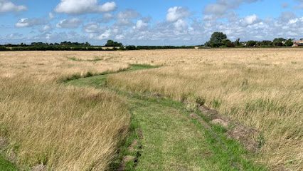 A-maze-in dog walks — secure dog field in Liverpool