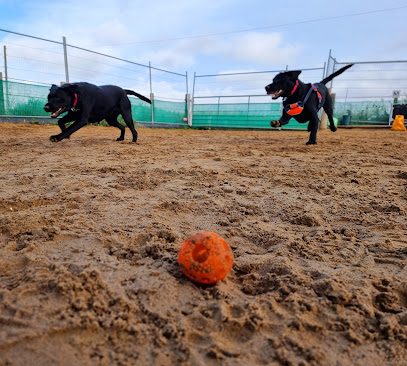 QP-K9 — secure dog field in Hebburn