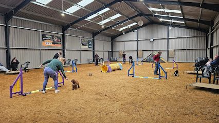 Meadow View Dog Paddock & Training — secure dog field in Oakham