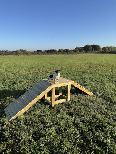 Field Day Dog Field — secure dog field in Banbury