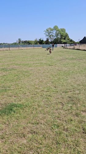 Petsercise — secure dog field