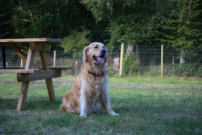 Cwmblacks Playful Paws — secure dog field in Merthyr Tydfil