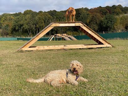 Unleashed Dundee — secure dog field in Broughty Ferry