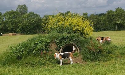 Paw Park — secure dog field in Cheltenham