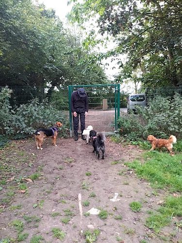 Heatherdene Hideaway — secure dog field in Pevensey