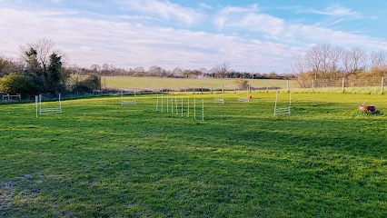 Bounce Dogs — secure dog field in Chelmsford