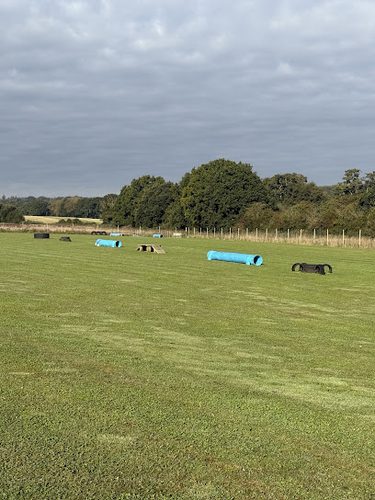 Dance's Dog Paddock — secure dog field in Salisbury