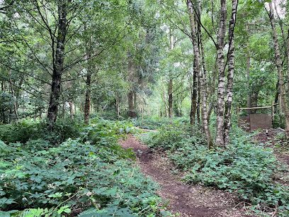 WILD WOODS DOGGONE SECURE WALKING PARKS — secure dog field in Ashby-de-la-Zouch