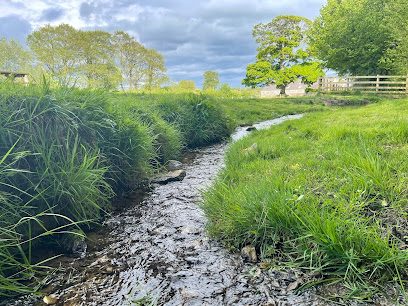 Plas issa Farm Dog Fields — secure dog field in Wrexham