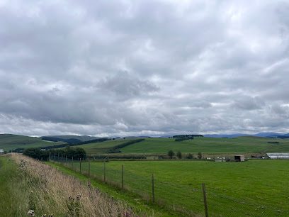Run Free Dog Fields - Biggar — secure dog field in Biggar