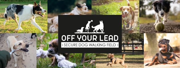 Off your lead — secure dog field in Frodsham