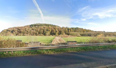 Bramble's Field (Borders Pet Rescue) — secure dog field in Earlston