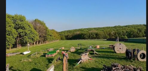 K9 Adventure Park Dog-topia — secure dog field in Bradford