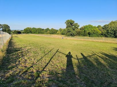 Staple Dogs Run Free — secure dog field in Taunton