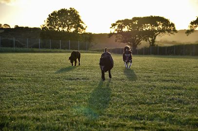 Merrins Meadow — secure dog field in Truro
