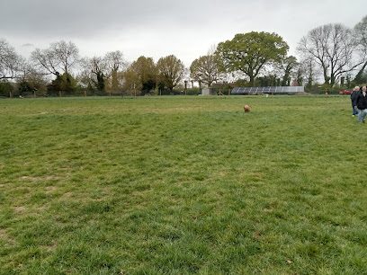 Froyle Dog Park 1301 — secure dog field in Alton