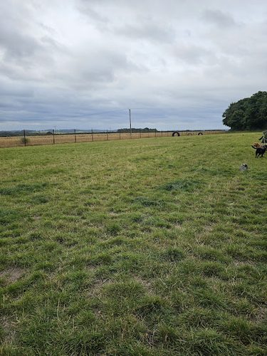 Papplewick Paws Secure Dog Field — secure dog field in Nottingham