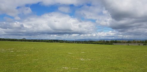 Bonnyton Farm Dog Run — secure dog field in Eaglesham