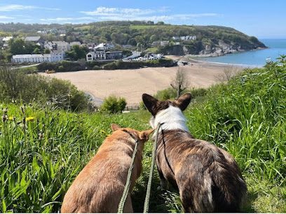 Cys Ci Luxury Dog Retreat — secure dog field in Cardigan