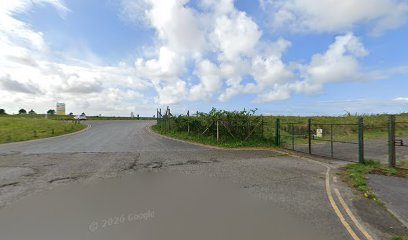 The dog field — secure dog field in Llanelli