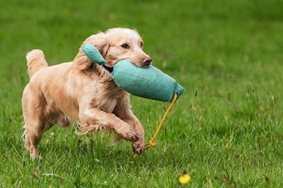 Heavenly Views Dog Park — secure dog field in Chard