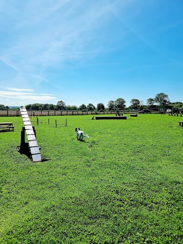Cropwell k9s — secure dog field in Nottingham
