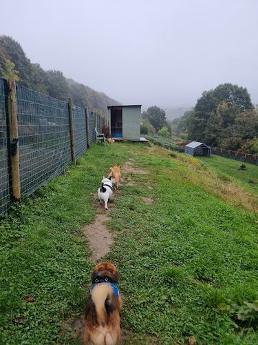 Brighouse Dog Field — secure dog field in Brighouse