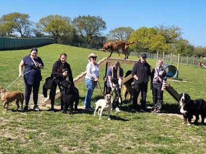 Cei Meadows Dog Park — secure dog field in Deeside
