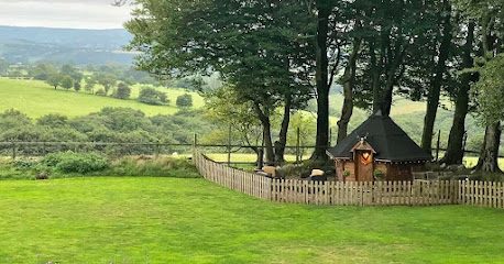 Brechfa Forest Barns - totally dog friendly holidays — secure dog field in Pencader