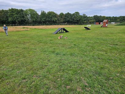 Winkleigh Wag & Walk — secure dog field in Winkleigh