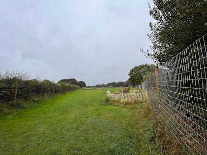 Horsforth Happy Hounds — secure dog field in Leeds