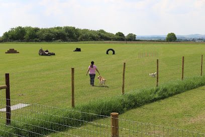 Barkby Meadows — secure dog field in Leicester
