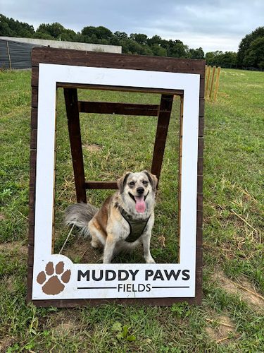 Muddy Paws Fields (Trent) — secure dog field in Sherborne