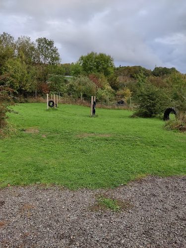 Hounds & Bounds Fido's Field — secure dog field in Reading