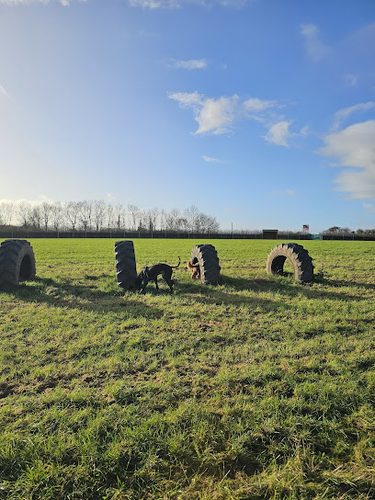 Five Acres Dog Field — secure dog field in Taunton
