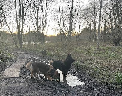 Chris's Rustic Dog Exercise Area — secure dog field in Leeds