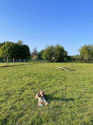 Royal Hounds Dog Park — secure dog field in Gravesend