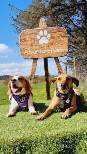 AdventureBark — secure dog field in Newmachar
