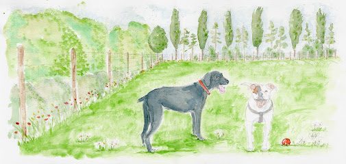Cliffe Enclosed Dog Field — secure dog field in Selby