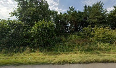 WhoLetTheDogsOutWestWales — secure dog field in Carmarthen