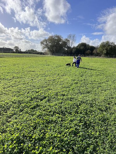 Wallingford Wild Walkies dog park — secure dog field in Wallingford