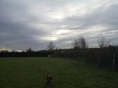 Four Paws Dog Park — secure dog field in Chippenham