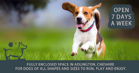 Adlington Dog Field — secure dog field in Macclesfield