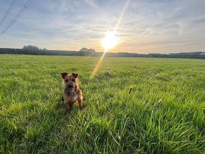 Chesterfield Dog Park — secure dog field in Chesterfield